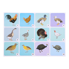 Набор плакатов "Дикие и домашние животные и птицы"  с методическими рекомендациями, 4 плакат 1047263 - Фото 5