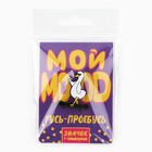 Значок деревянный с наклейками «Мой mood», 6.5 х 9 см - Фото 9