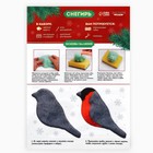 Валяние из шерсти на новый год. Брошь своими руками «Снегирь», новогодний набор для творчества - Фото 7