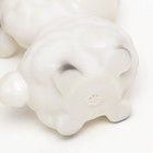 Игрушка-пищалка для купания в ванне «Животные» 6 шт., резиновые, 10 см - Фото 5