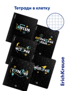 Набор предметных тетрадей ErichKrause. Inscription, 12 предметов, 48 листов, со справочным материалом, обложка из мелованного картона - Фото 4