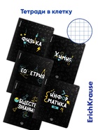 Набор предметных тетрадей ErichKrause. Inscription, 12 предметов, 48 листов, со справочным материалом, обложка из мелованного картона - Фото 5