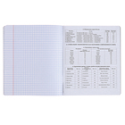 Набор предметных тетрадей ErichKrause. Inscription, 12 предметов, 48 листов, со справочным материалом, обложка из мелованного картона - Фото 20