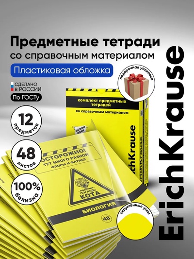 Комплект предметных тетрадей ErichKrause. Be Informed, 12 предметов, 48 листов, со справочным материалом, пластиковая обложка