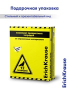 Комплект предметных тетрадей ErichKrause. Be Informed, 12 предметов, 48 листов, со справочным материалом, пластиковая обложка - Фото 19