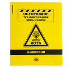 Комплект предметных тетрадей ErichKrause. Be Informed, 12 предметов, 48 листов, со справочным материалом, пластиковая обложка - Фото 8