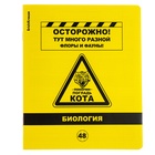 Комплект предметных тетрадей ErichKrause. Be Informed, 12 предметов, 48 листов, со справочным материалом, пластиковая обложка - Фото 11