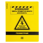 Комплект предметных тетрадей ErichKrause. Be Informed, 12 предметов, 48 листов, со справочным материалом, пластиковая обложка - Фото 34