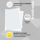 Комплект предметных тетрадей ErichKrause. Be Informed, 12 предметов, 48 листов, со справочным материалом, пластиковая обложка - Фото 26