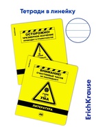 Комплект предметных тетрадей ErichKrause. Be Informed, 12 предметов, 48 листов, со справочным материалом, пластиковая обложка - Фото 17