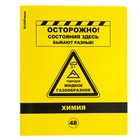 Комплект предметных тетрадей ErichKrause. Be Informed, 12 предметов, 48 листов, со справочным материалом, пластиковая обложка - Фото 7