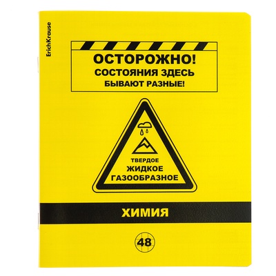 Комплект предметных тетрадей ErichKrause. Be Informed, 12 предметов, 48 листов, со справочным материалом, пластиковая обложка