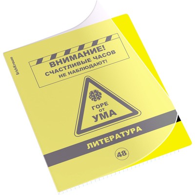 Тетрадь предметная ЛИТЕРАТУРА, 48 листов в линейку, ErichKrause Be Informed, пластиковая обложка, шелкография, блок офсет 100% белизна, инфо-блок