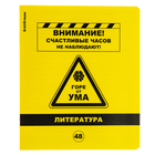 Тетрадь предметная 48 листов в линейку, «ErichKrause Be Informed. Литература», пластиковая обложка 10486086 - фото 156028