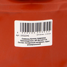 Саженец Калина гордовина, Горшок C3.5 - Фото 3