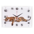 Часы настенные интерьерные "Бенгальский кот", бесшумные, 35 х 25 см, АА - фото 11298058