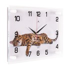 Часы настенные интерьерные "Бенгальский кот", бесшумные, 35 х 25 см, АА - фото 11298059