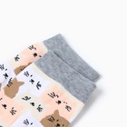 Носки женские "Котики", цвет белый/коричневый/розовый, размер 36-40 - фото 24163181