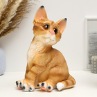 Копилка "Задумчивый котик" 27х20см - фото 24049780