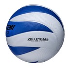 Мяч волейбольный Atemi Ace (N), синтетическая кожа PVC, 12 панелей, клееный, окружность 65-67 см - Фото 2