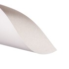 Картон белый А4 10 листов «Каляка-Маляка», мелованный, 200 г/м², в папке - Фото 3