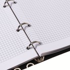 Тетрадь на кольцах А5+ 120 листов в клетку LOREX "NAUGHTY CAT", со сменным блоком, интегральная обложка, Soft-touch - фото 24077785