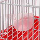 Клетка для грызунов укомплектованная RT-2t, 22 х 16 х 20 см, красная (фасовка 30 шт) - Фото 7