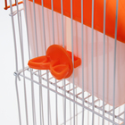 Клетка для грызунов с наполнением RT-3, 30 х 23 х 39 см, оранжевая (фасовка 12 шт) - Фото 11
