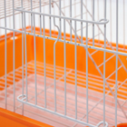 Клетка для грызунов с наполнением RT-3, 30 х 23 х 39 см, оранжевая (фасовка 12 шт) - Фото 13