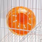 Клетка для грызунов с наполнением RT-3, 30 х 23 х 39 см, оранжевая (фасовка 12 шт) - Фото 8