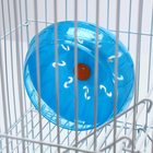 Клетка для грызунов с наполнением RT-3, 30 х 23 х 39 см, голубая (фасовка 12 шт) - Фото 8