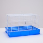 Клетка для кроликов RT-1, 62 х 42 х 39 см, синяя - Фото 2