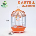 Клетка для птиц круглая укомплектованная Bd-4/2, 23,5 х 33 см, оранжевая  (фасовка 20 шт) 9893581 - фото 312783145