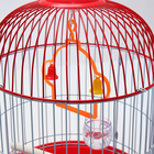 Клетка для птиц круглая укомплектованная Bd-4/2, 23,5 х 33 см, красная (фасовка 20 шт) - Фото 5
