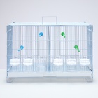 Клетка для птиц пролётная Bd-5/2w, 62×27×40 см, укомплектованная, фасовка 4 шт., белая - Фото 2