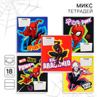 Тетрадь в линейку 18 листов, 5 видов МИКС, обложка мелованный картон, «Человек-паук» - Фото 1