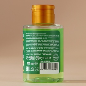 Пена для ванны, аромат яблочного пунша, 100 мл, URAL LAB (комплект 2 шт)