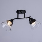 Люстра потолочная "Аррон"  E27 2х40Вт черный 46х19х24см - фото 24163411