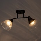 Люстра потолочная "Аррон"  E27 2х40Вт черный 46х19х24см - фото 24163412