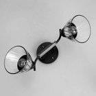 Люстра потолочная "Аррон"  E27 2х40Вт черный 46х19х24см - фото 24163413