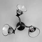 Люстра потолочная "Аррон"  E27 3х40Вт черный 49х49х24см - фото 24163422