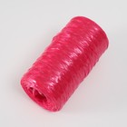 Пряжа "Для вязания мочалок"100% полипропилен 300м/75±10 гр (набор 3 шт. белый, рубин,черный) - Фото 3