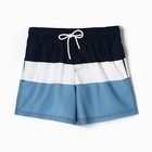 Шорты мужские спортивные, цвет темно-синий /белый/голубой, размер 48 (M) - фото 24273240