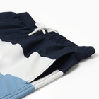 Шорты мужские спортивные, цвет темно-синий /белый/голубой, размер 50 (L) - фото 24273244