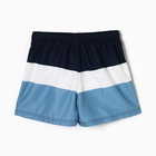 Шорты мужские спортивные, цвет темно-синий /белый/голубой, размер 54 (XXL) - фото 24273248