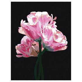 Картина по номерам на черном холсте «Розовые цветы», 30 × 40 см
