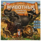 Настольная игра «Животные планеты Земля», 2-4 игрока, 10+ - фото 321576164