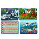 Настольная игра «Умная викторина. Животные мира», 3+ - фото 24037672