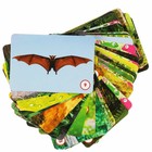 Настольная игра «Мемо. Джунгли», 50 карточек, 3+ - фото 24037765