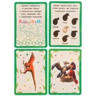 Настольная игра «Суперквест. Парк динозавров», 5+ - фото 24037968